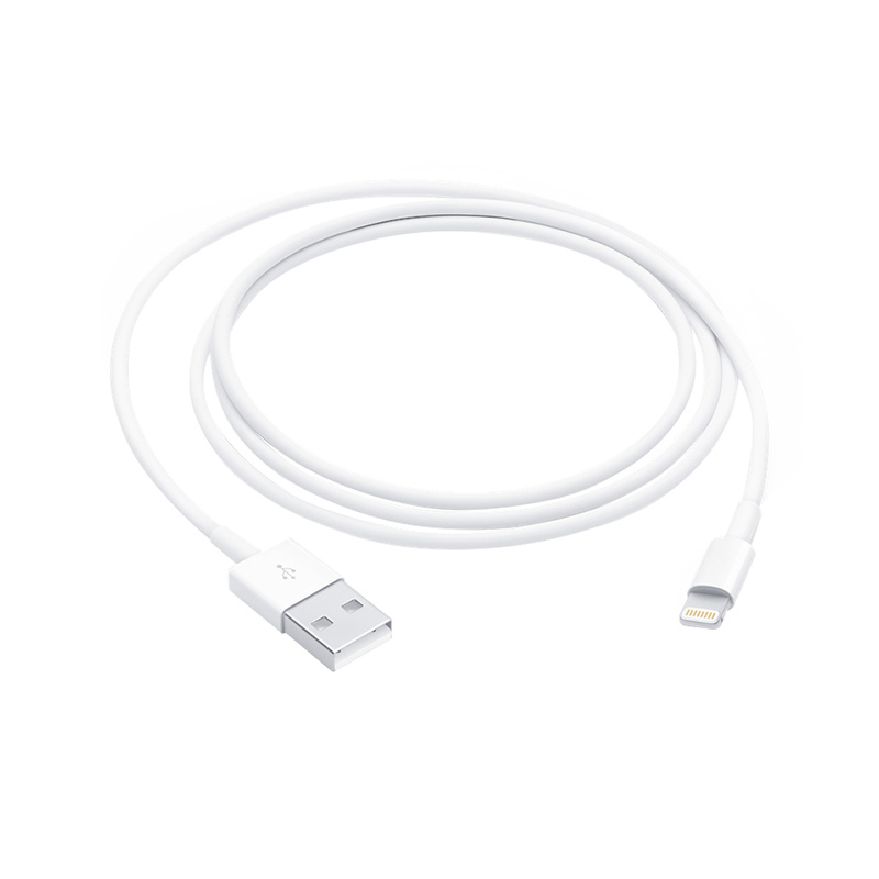 Câble Lightning / Usb Apple 1m Blanc Bon état -  reconditionné disponible sur Electro Depot